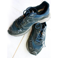 'About the House' Trainers